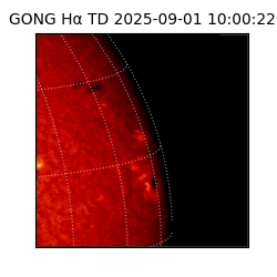 gong - 2025-09-01T10:00:22