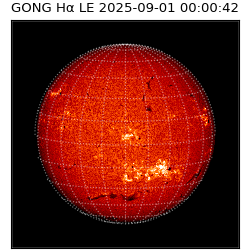 gong - 2025-09-01T00:00:42