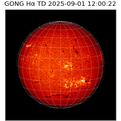 gong - 2025-09-01T12:00:22