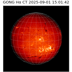 gong - 2025-09-01T15:01:42