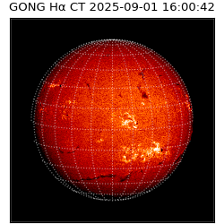 gong - 2025-09-01T16:00:42