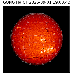 gong - 2025-09-01T19:00:42