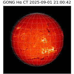gong - 2025-09-01T21:00:42