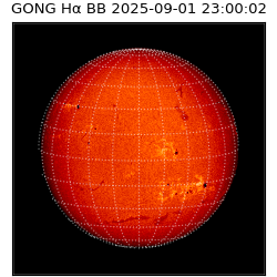 gong - 2025-09-01T23:00:02