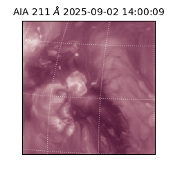 saia - 2025-09-02T14:00:09.626000