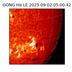 gong - 2025-09-02T05:00:42