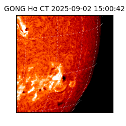 gong - 2025-09-02T15:00:42