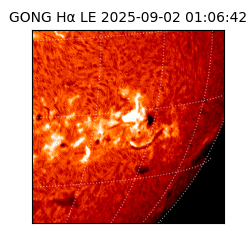 gong - 2025-09-02T01:06:42