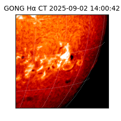 gong - 2025-09-02T14:00:42