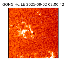 gong - 2025-09-02T02:00:42