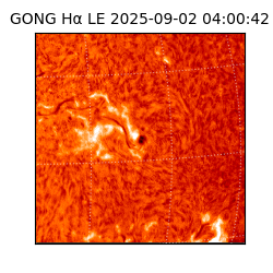 gong - 2025-09-02T04:00:42