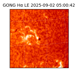 gong - 2025-09-02T05:00:42