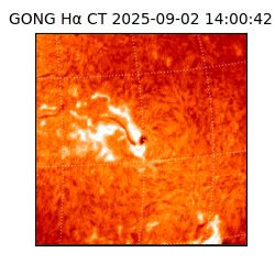 gong - 2025-09-02T14:00:42