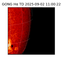gong - 2025-09-02T11:00:22