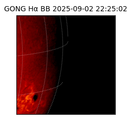gong - 2025-09-02T22:25:02