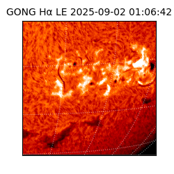 gong - 2025-09-02T01:06:42