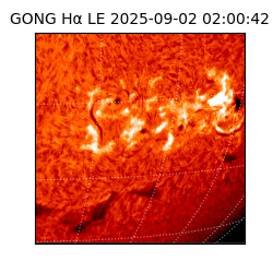 gong - 2025-09-02T02:00:42