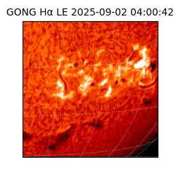 gong - 2025-09-02T04:00:42