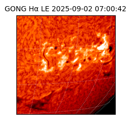 gong - 2025-09-02T07:00:42