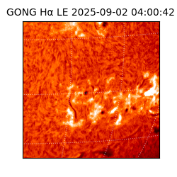 gong - 2025-09-02T04:00:42