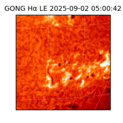 gong - 2025-09-02T05:00:42