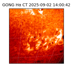 gong - 2025-09-02T14:00:42