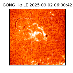 gong - 2025-09-02T06:00:42