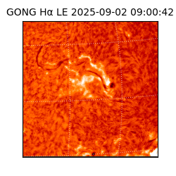 gong - 2025-09-02T09:00:42