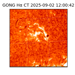 gong - 2025-09-02T12:00:42