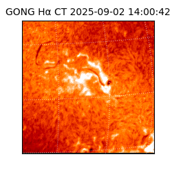 gong - 2025-09-02T14:00:42