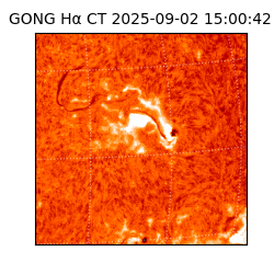 gong - 2025-09-02T15:00:42
