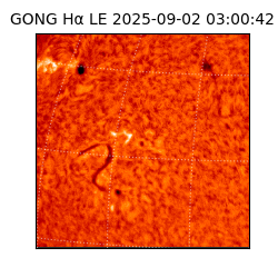 gong - 2025-09-02T03:00:42
