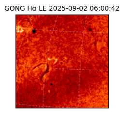 gong - 2025-09-02T06:00:42