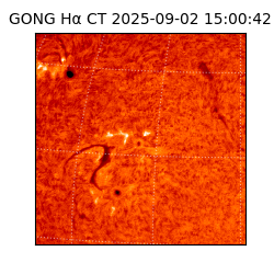 gong - 2025-09-02T15:00:42