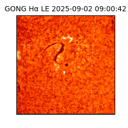 gong - 2025-09-02T09:00:42