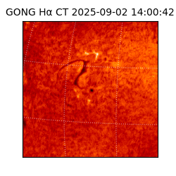 gong - 2025-09-02T14:00:42