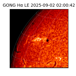 gong - 2025-09-02T02:00:42