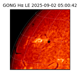 gong - 2025-09-02T05:00:42