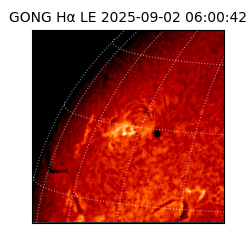 gong - 2025-09-02T06:00:42