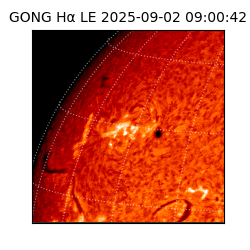 gong - 2025-09-02T09:00:42