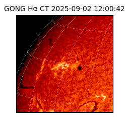 gong - 2025-09-02T12:00:42