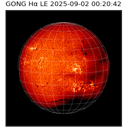 gong - 2025-09-02T00:20:42