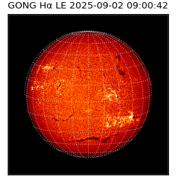 gong - 2025-09-02T09:00:42