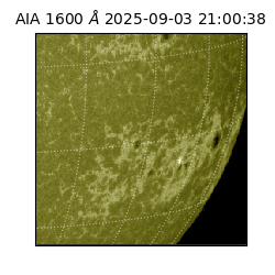 saia - 2025-09-03T21:00:38.131000