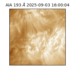 saia - 2025-09-03T16:00:04.843000