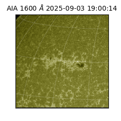 saia - 2025-09-03T19:00:14.126000