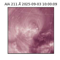 saia - 2025-09-03T10:00:09.626000