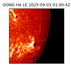 gong - 2025-09-03T01:00:42