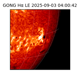 gong - 2025-09-03T04:00:42