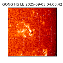 gong - 2025-09-03T04:00:42